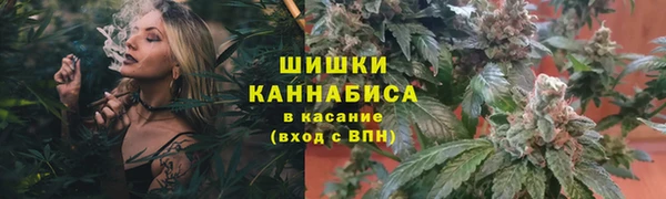 a pvp Яровое