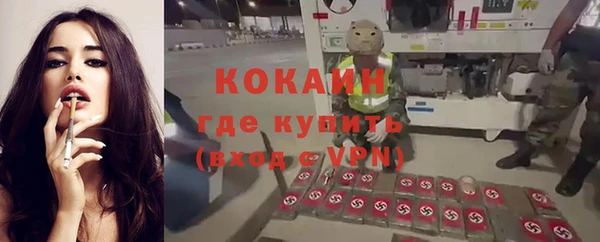 mdpv Заводоуковск