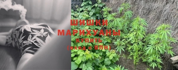MESCALINE Ельня