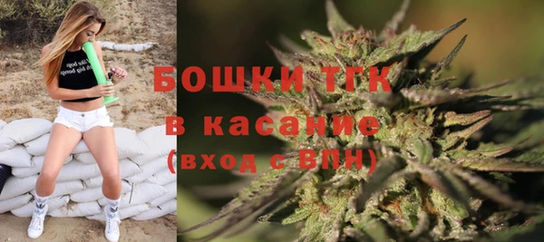 mdpv Заводоуковск