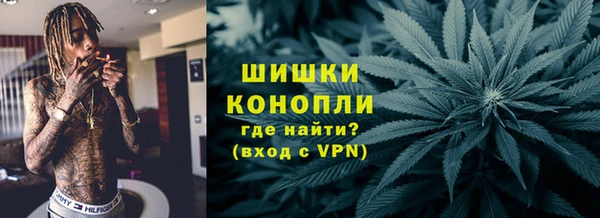 mdpv Заводоуковск