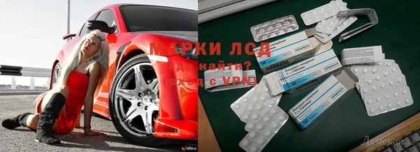 mdpv Заводоуковск