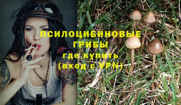 синтетический гашиш Яранск